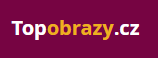 Topobrazy.cz – moderní vícedílné luxusní obrazy