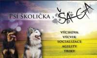 Psí školička ŠA-GA